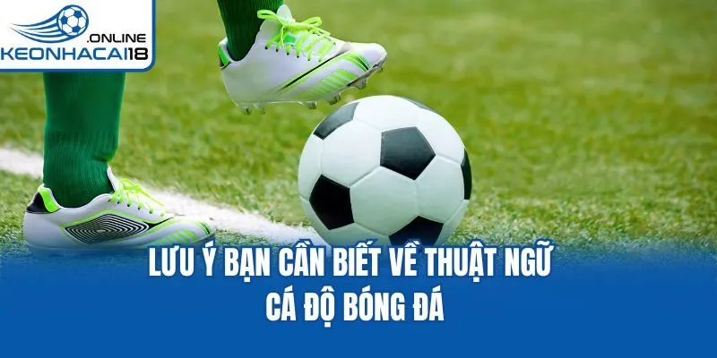 Lưu ý bạn cần biết về thuật ngữ cá độ bóng đá